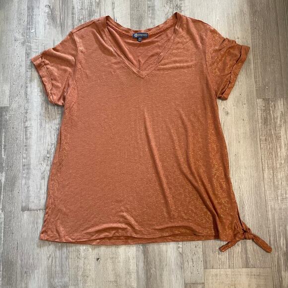 Democracy Rust V-Neck Blouse - Picture 10 of 13